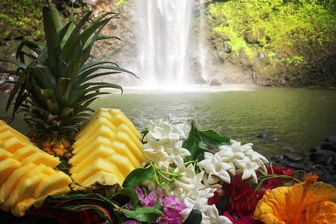 Wailua River & Waterfalls Kayak Tour: Expert-Guided Adventure - Secret Falls and the swimming hole