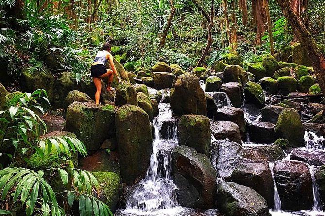 Wailua River & Waterfalls Kayak Tour: Expert-Guided Adventure - Lunch beside the waterfall