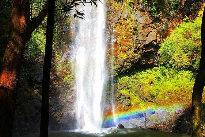 Wailua River & Waterfalls Kayak Tour: Expert-Guided Adventure - Guides who make the route more interesting