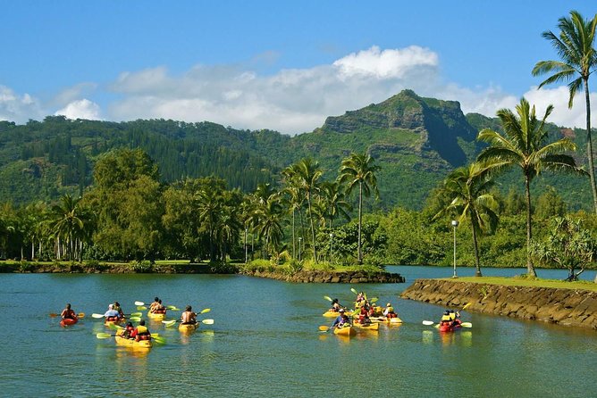 Wailua River & Waterfalls Kayak Tour: Expert-Guided Adventure - Why the early morning trip makes sense