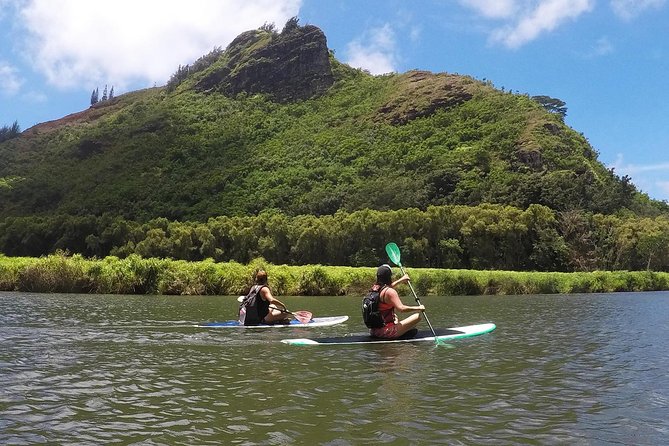 Wailua River & Waterfalls Kayak Tour: Expert-Guided Adventure - What the $145.86 price includes