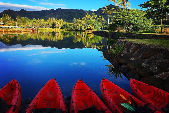 Wailua River & Waterfalls Kayak Tour: Expert-Guided Adventure - A rainforest trail with mud, rocks, and four crossings