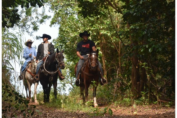 West Maui Mountain Waterfall and Ocean Tour via Horseback - A mountain-to-ocean ride with real terrain