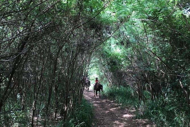 West Maui Mountain Waterfall and Ocean Tour via Horseback - What makes the animal stop worthwhile