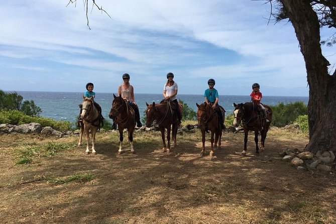 West Maui Mountain Waterfall and Ocean Tour via Horseback - The meeting point and morning timing