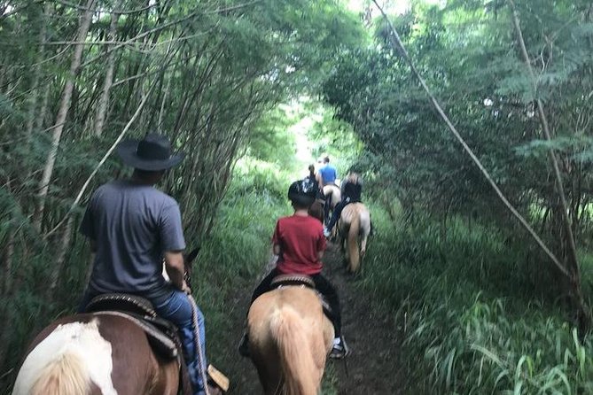 West Maui Mountain Waterfall and Ocean Tour via Horseback - Is $187.50 a fair price?