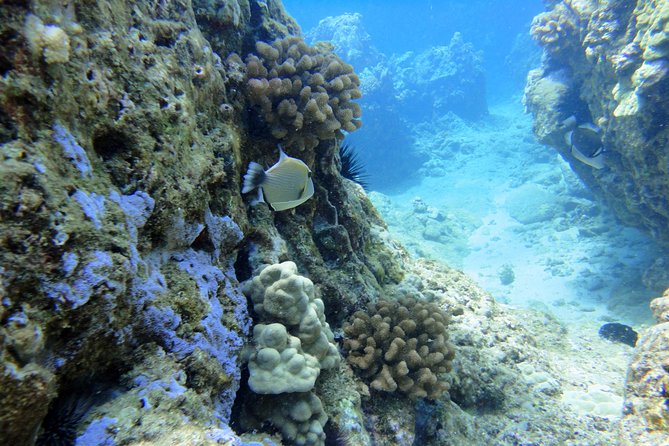 West Maui Snorkeling Experience by Boat from Ka'anapali - Leaving Kaanapali Beach at 9:00 am