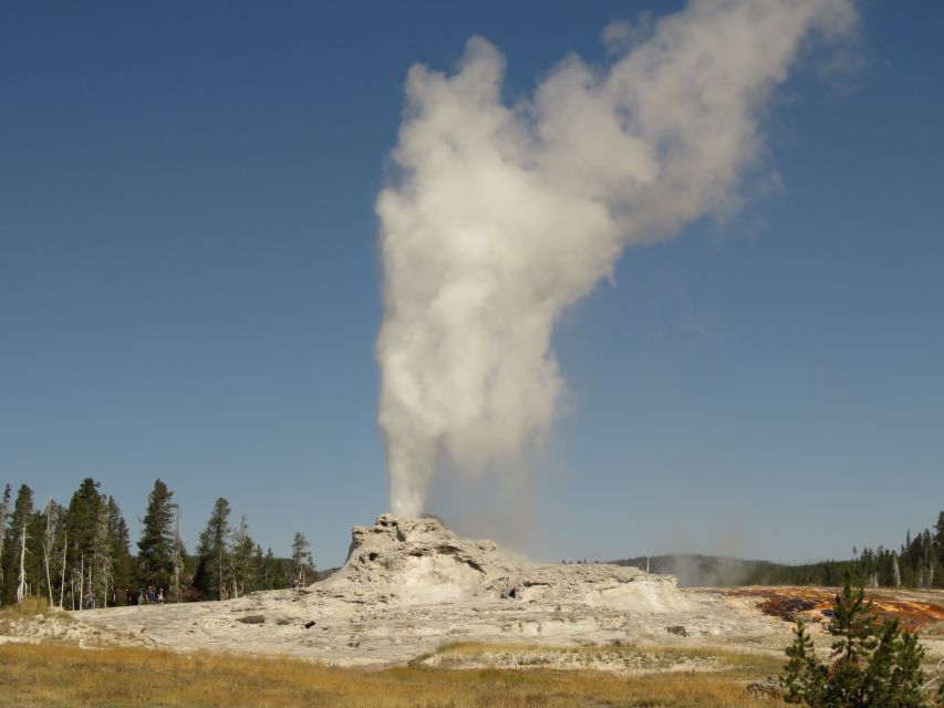 West Yellowstone: Yellowstone Day Tour Including Entry Fee - Who should book this Yellowstone day tour?
