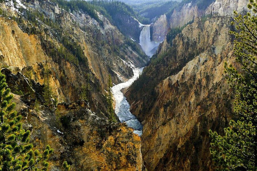West Yellowstone: Yellowstone Day Tour Including Entry Fee - Thumb Geyser and Yellowstone Lake