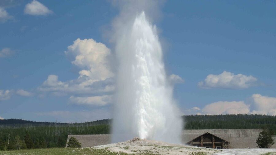 West Yellowstone: Yellowstone Day Tour Including Entry Fee - Artist Point and the Grand Canyon of the Yellowstone