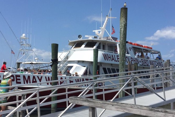 Whale and Dolphin Watching Cruise from Cape May - The narration adds value to the boat ride