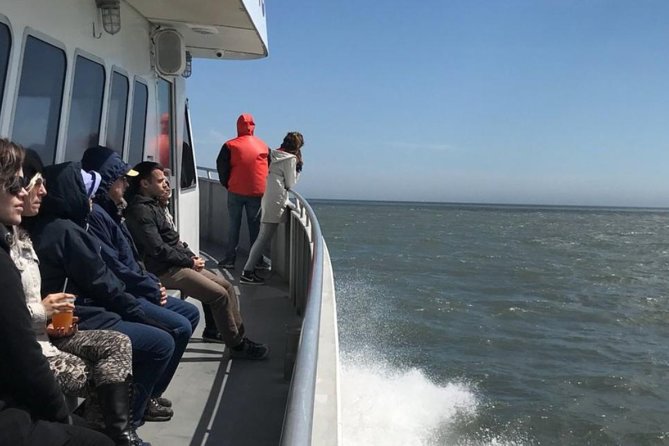 Whale and Dolphin Watching Cruise from Cape May - Prepare for sun, wind, and choppy water