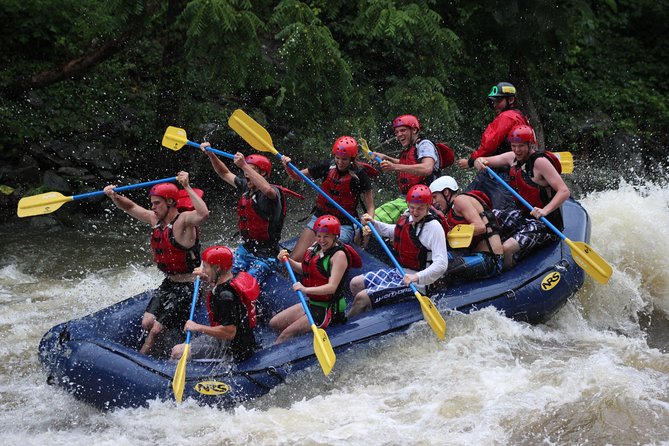 White Water Rafting Experience on the Upper Pigeon River - Key points to know before you paddle