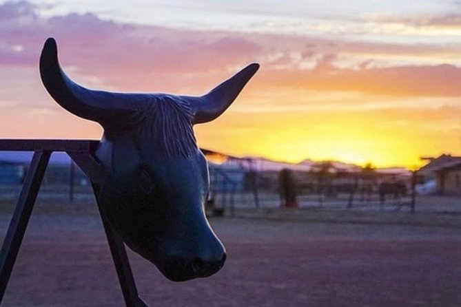 Wild West Sunset Horseback Ride with Dinner from Las Vegas - Who will enjoy this ride most