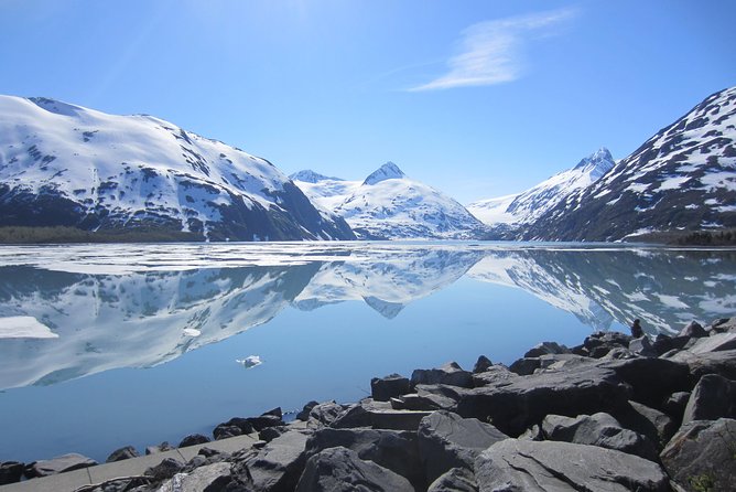 Wildlife and Glaciers with a walk in the Rainforest - The guide can make or break the day