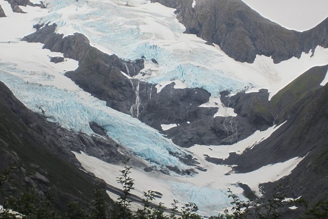 Wildlife and Glaciers with a walk in the Rainforest - The Tuesday closure issue