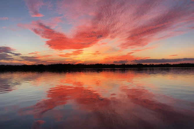Wildlife Tour of Indian River Lagoon with Experienced Captain - A wildlife cruise with more than one thing to see