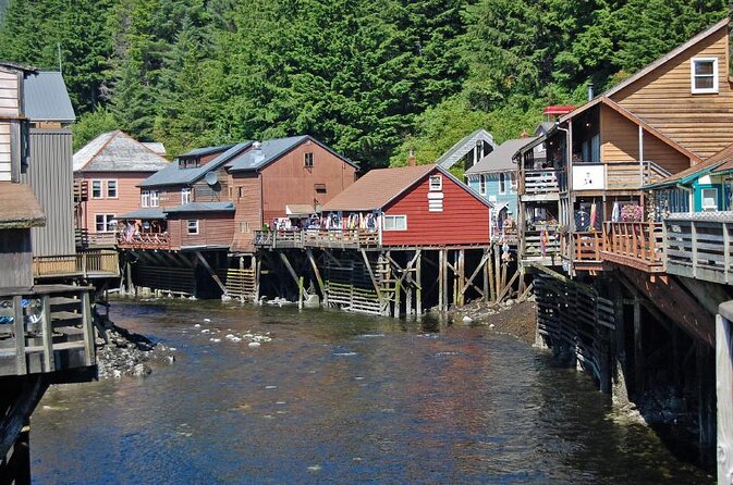 Wildlife Viewing, Sightseeing and Whale Watching Quest - Key details before you book