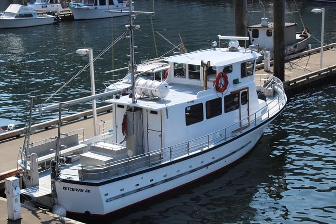 Wildlife Viewing, Sightseeing and Whale Watching Quest - Is the $178 price a good value?