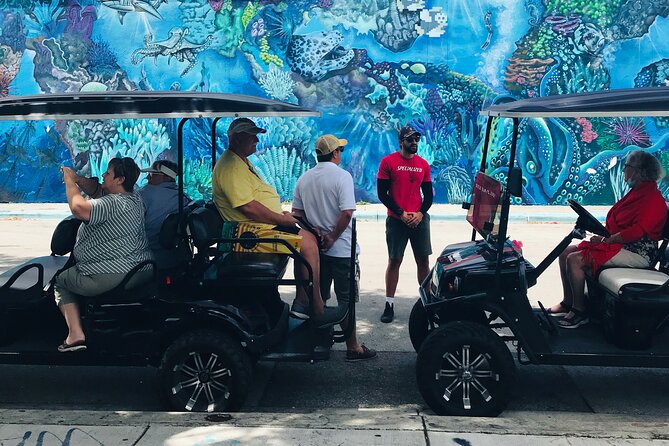 Wynwood Graffiti Golf Cart Small-Group Tour - Group Size, Seating, and Comfort
