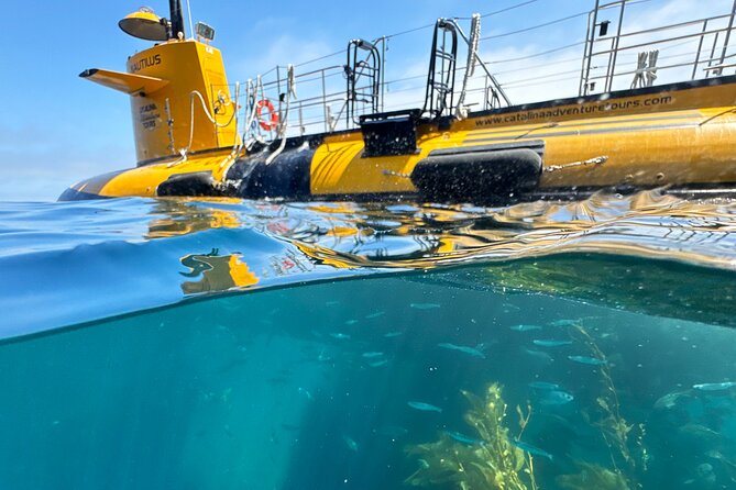 Yellow Semi-Submarine Tour of Catalina Island From Avalon - Seeing Catalina beneath the surface