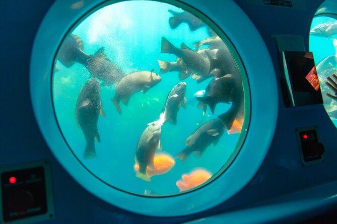 Yellow Semi-Submarine Tour of Catalina Island From Avalon - The fish-feeding stop and torpedo buttons