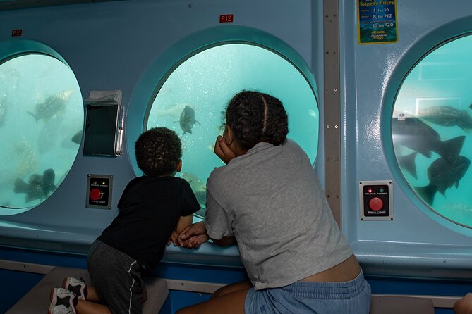 Yellow Semi-Submarine Tour of Catalina Island From Avalon - What you may see at six feet below