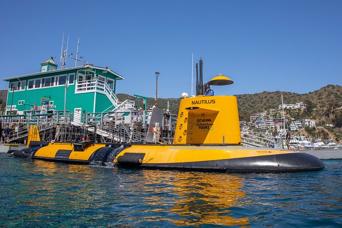 Yellow Semi-Submarine Tour of Catalina Island From Avalon - Who will enjoy the SS Nautilus most?