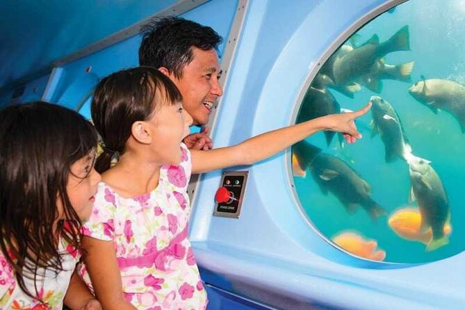 Yellow Semi-Submarine Tour of Catalina Island From Avalon - From Green Pleasure Pier to Lovers’ Cove