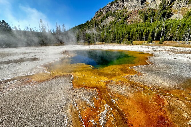 Yellowstone Lower Loop Full-Day Tour - Why this Lower Loop day works for first-time visitors