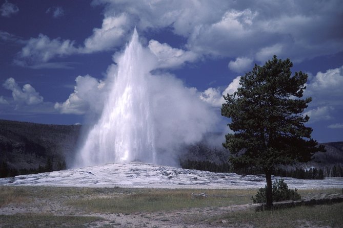 Yellowstone Lower Loop Full-Day Tour - Midway Geyser Basin and Fountain Paint Pot
