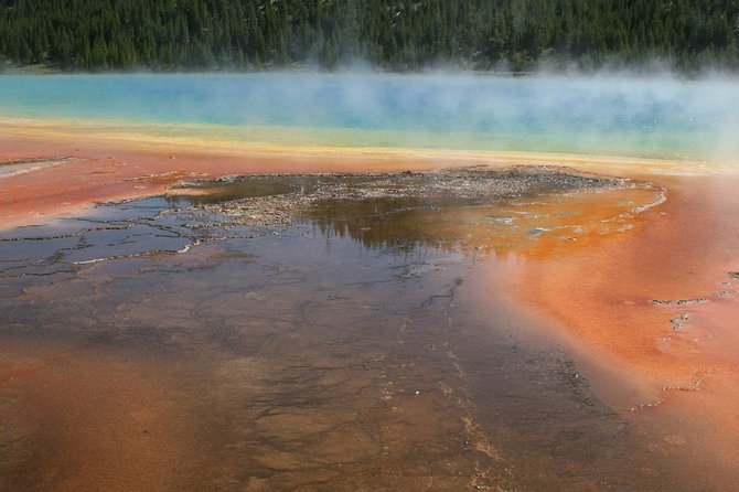 Yellowstone National Park - Full-Day Lower Loop Tour from Jackson - What the food and $375 price really cover