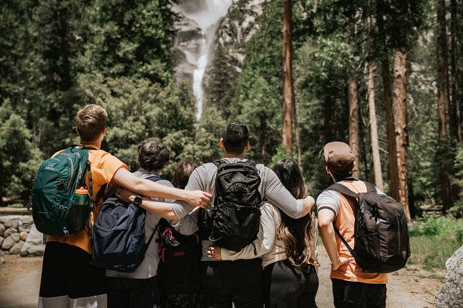 Yosemite Highlights & Giant Sequoias Day Tour from San Francisco - Yosemite Falls, El Capitan, and Valley View