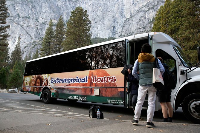 Yosemite Highlights & Giant Sequoias Day Tour from San Francisco - The Tuolumne Grove hike