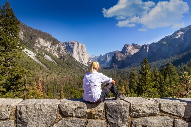 Yosemite Highlights & Giant Sequoias Day Tour from San Francisco - Groveland and the return through California