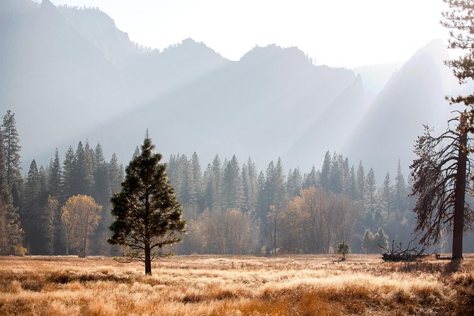 Yosemite Highlights & Giant Sequoias Day Tour from San Francisco - The 5:20 a.m. start and the long ride east