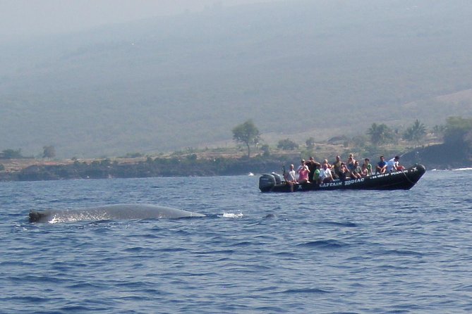 Zodiac Raft Whale Watching Adventure - Sea caves and lava tubes along the route
